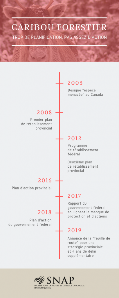 Caribou forestier timeline CP 3 avril 2019