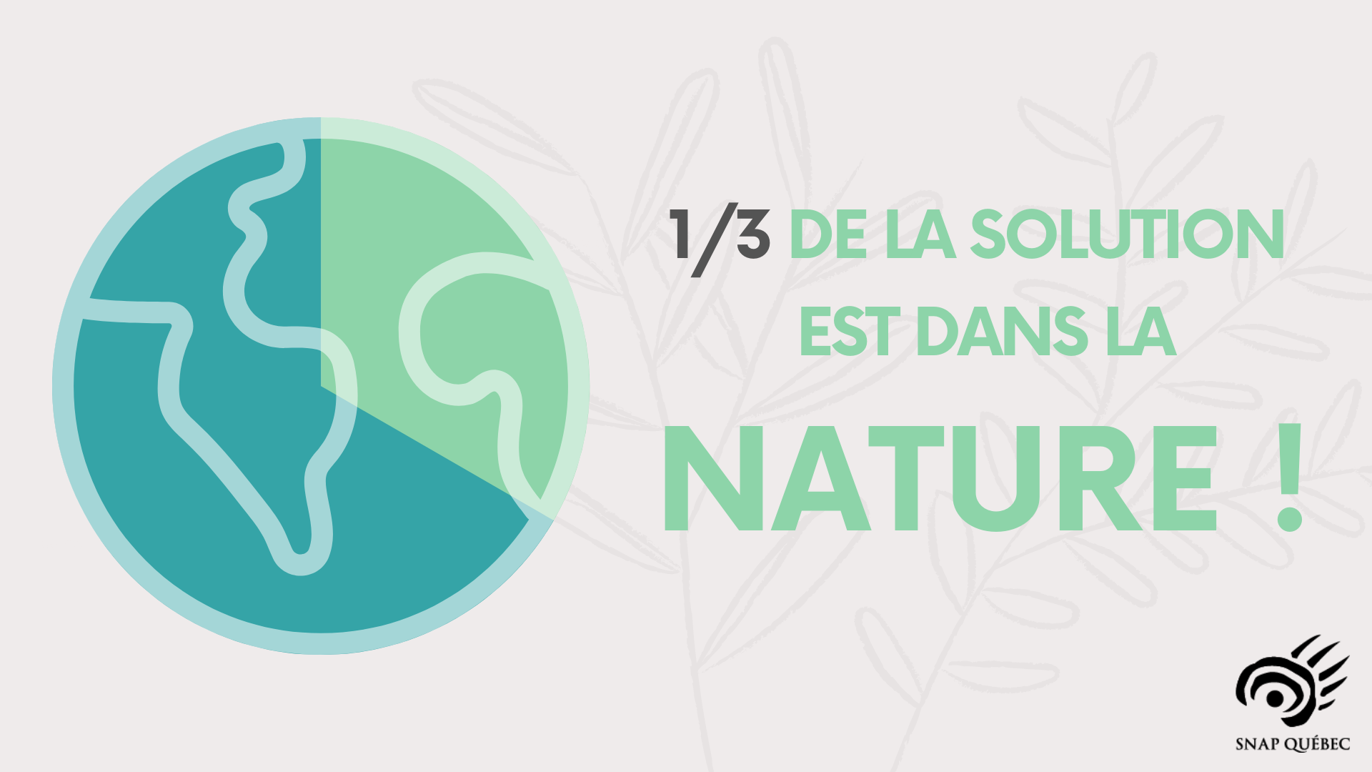 Featured image for “Les solutions nature pour le climat: qu’ossa done ?”